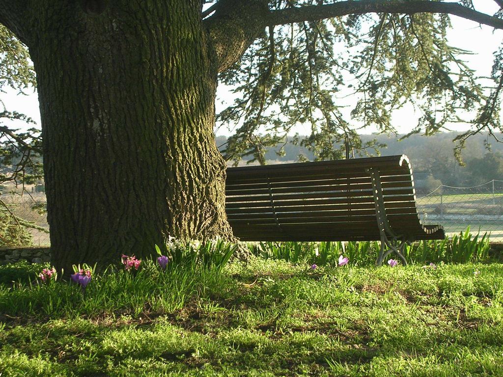 Bed and Breakfast Chateau De La Noblaye Lemere Экстерьер фото